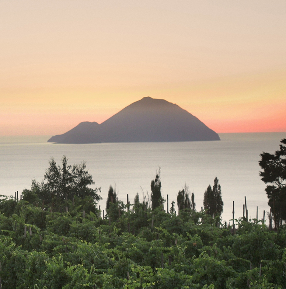 Fare vino su un vulcano