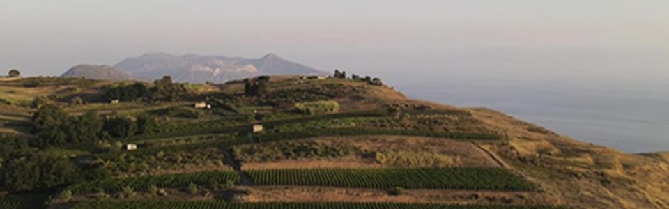 Topografia di Lipari e dei suoi vigneti